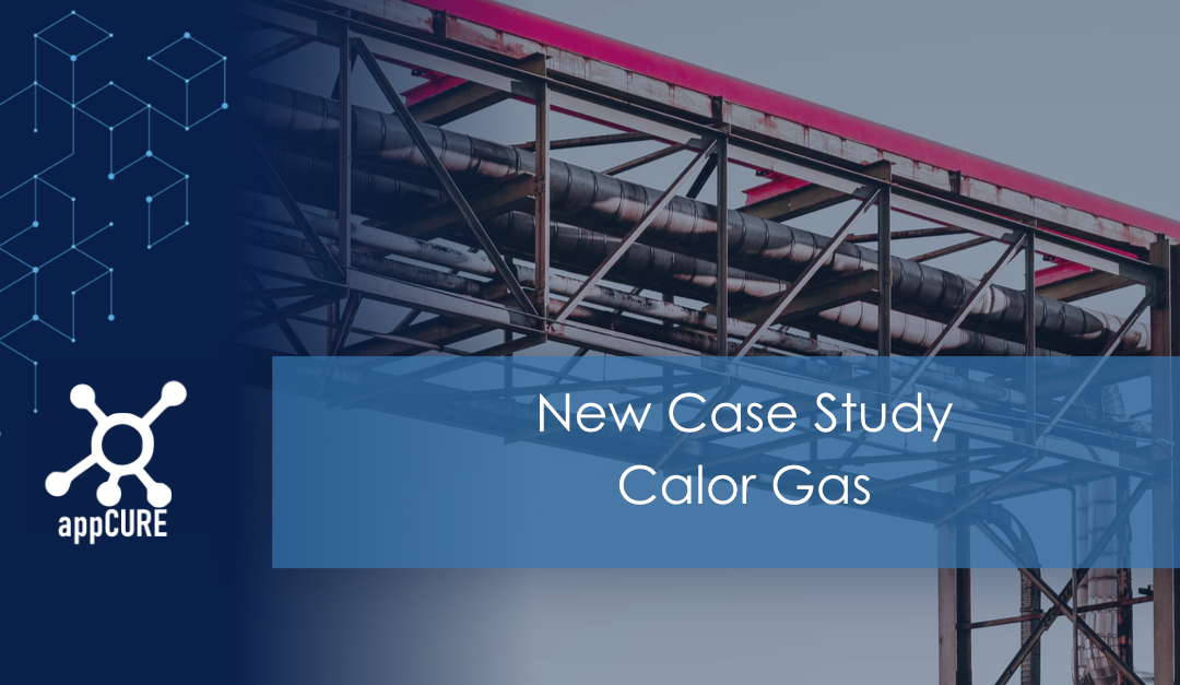 Calor Gas Case Study