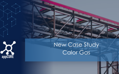 Calor Gas Case Study